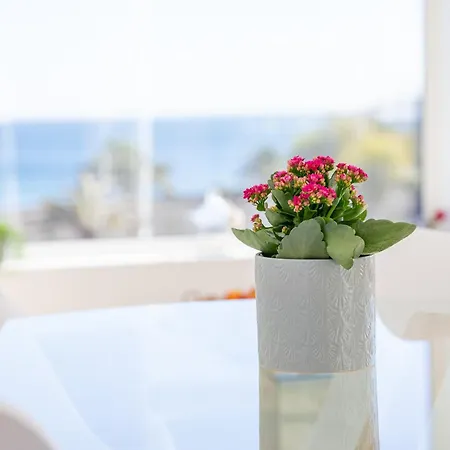 Sea Front View, Apartamento *